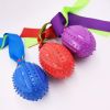 TPR Sounding Ribbon Ball Molar Bite-resistant Dog Toy Ball Training